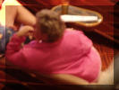 DSC02802.JPG (126485 bytes)